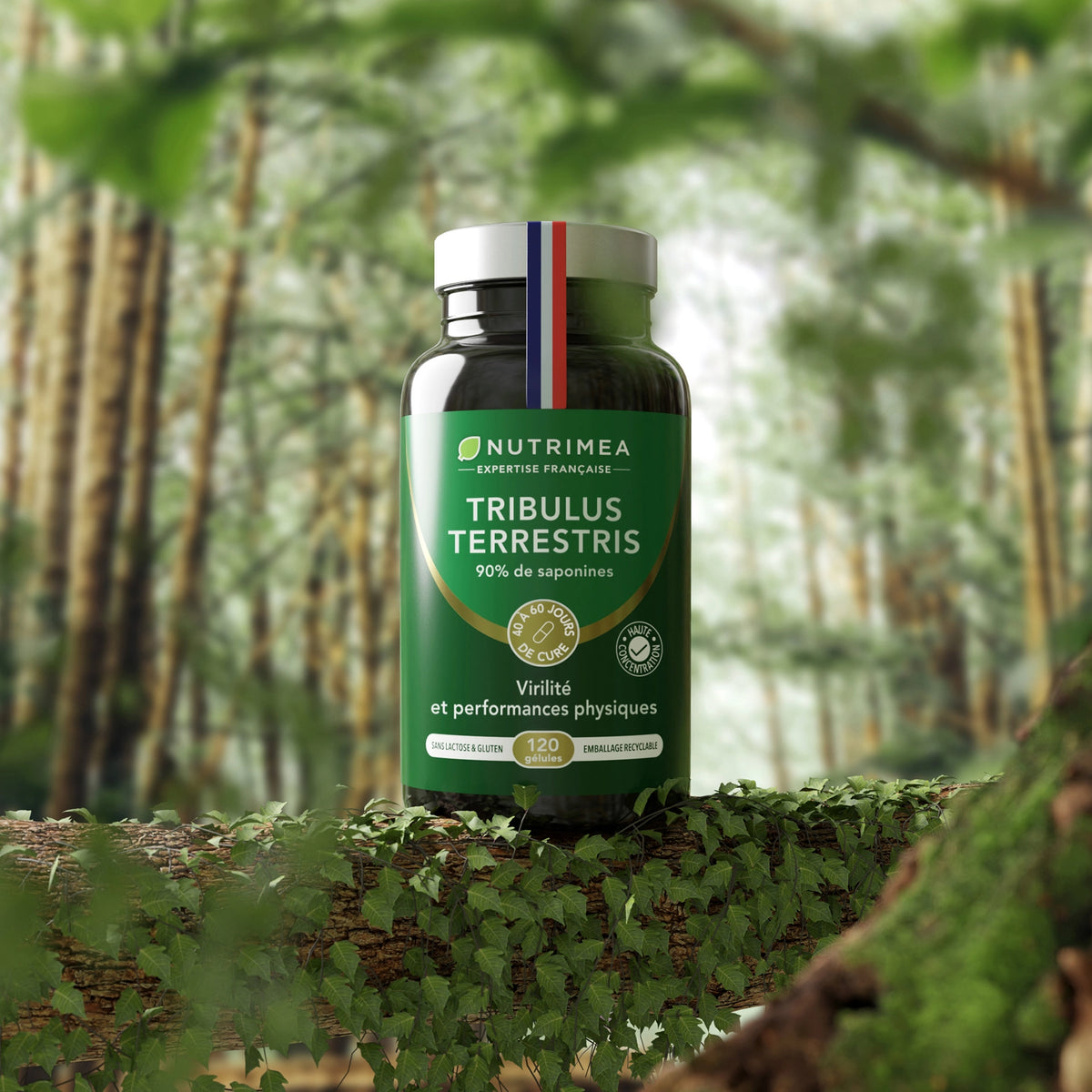 Tribulus Terrestris en cure quotidienne